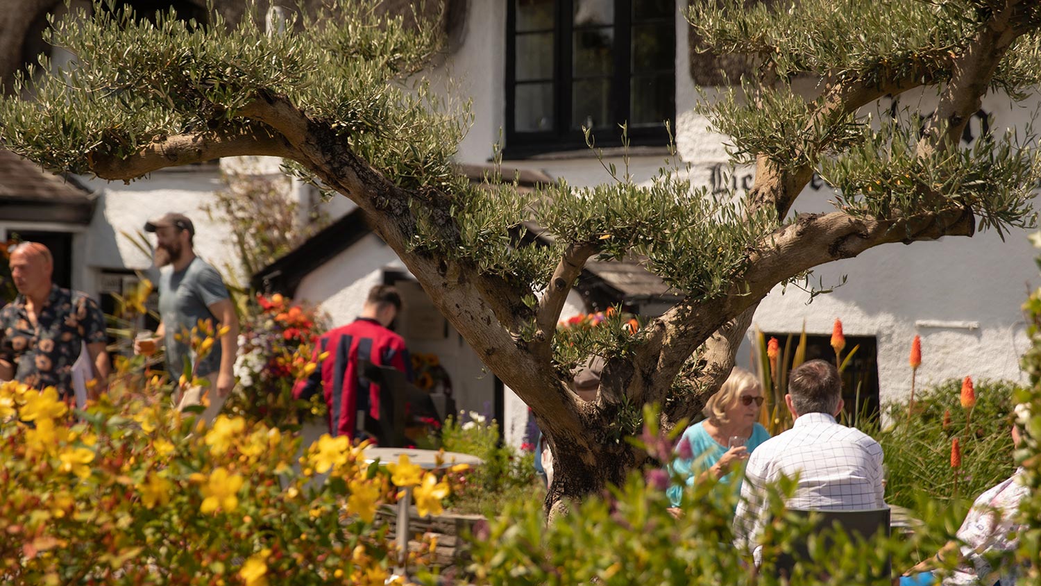 The Cott Inn, Dartington - a Beautiful Pub with Fine Dining and Rooms
